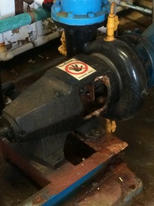 Pump with leaking gland packing