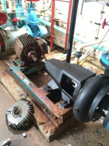 Motor with new bearings, cooling fan and fan shroud 